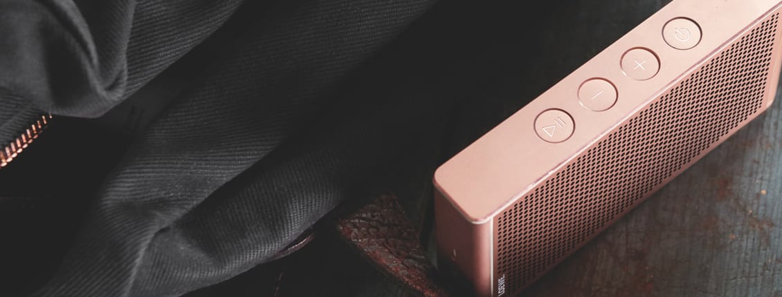 Play The Sweet Sound Of Profit With Diverse Portable Speaker Offerings!